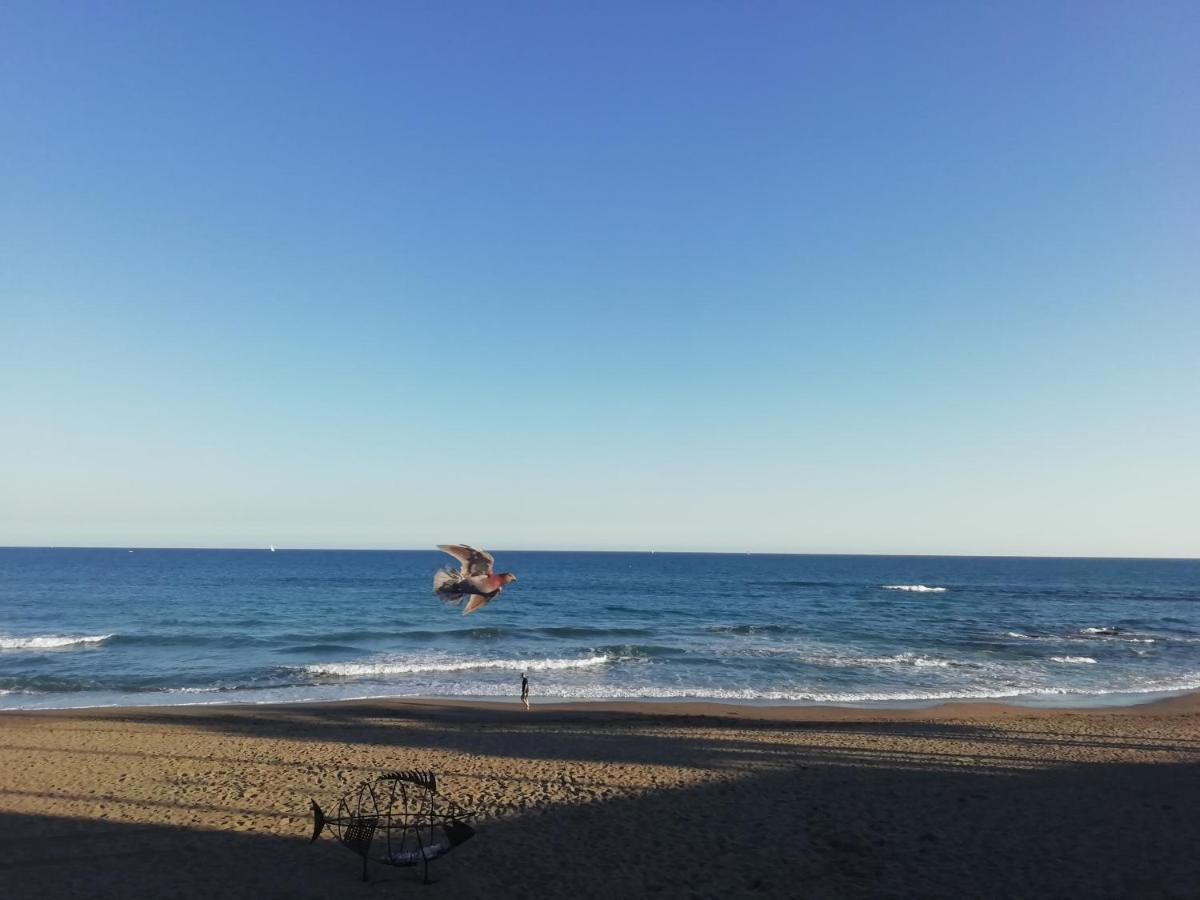 Apartamento-Estudio Benalmadena Maite-3 Ngoại thất bức ảnh